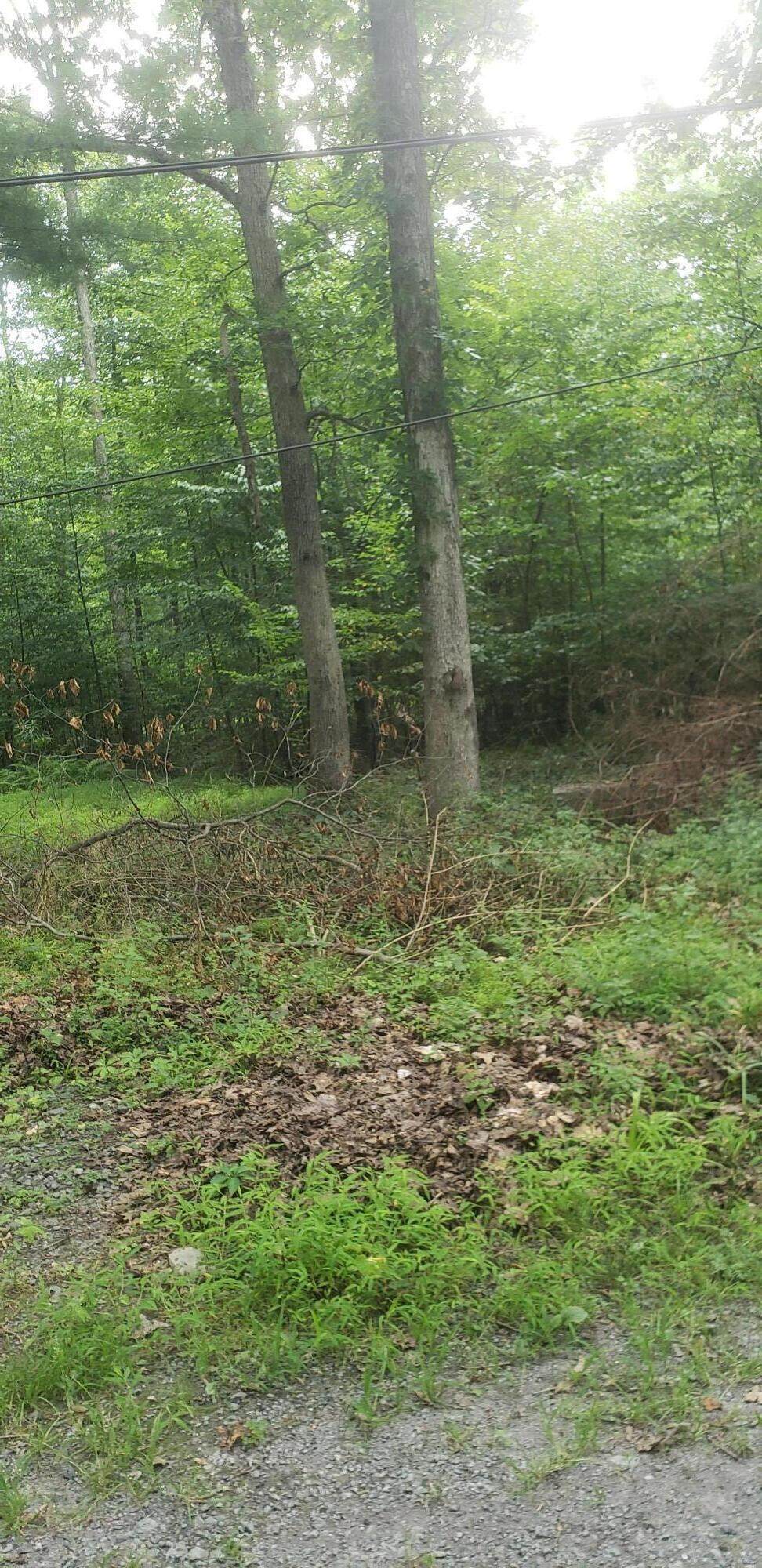 Underwood - Photo 1