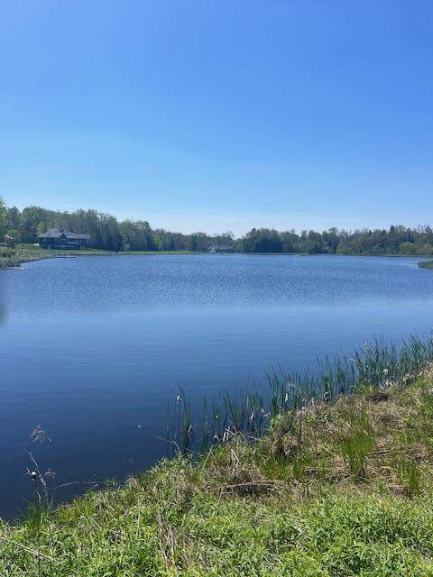 Lot 21 Covington Lake Drive - Photo 1