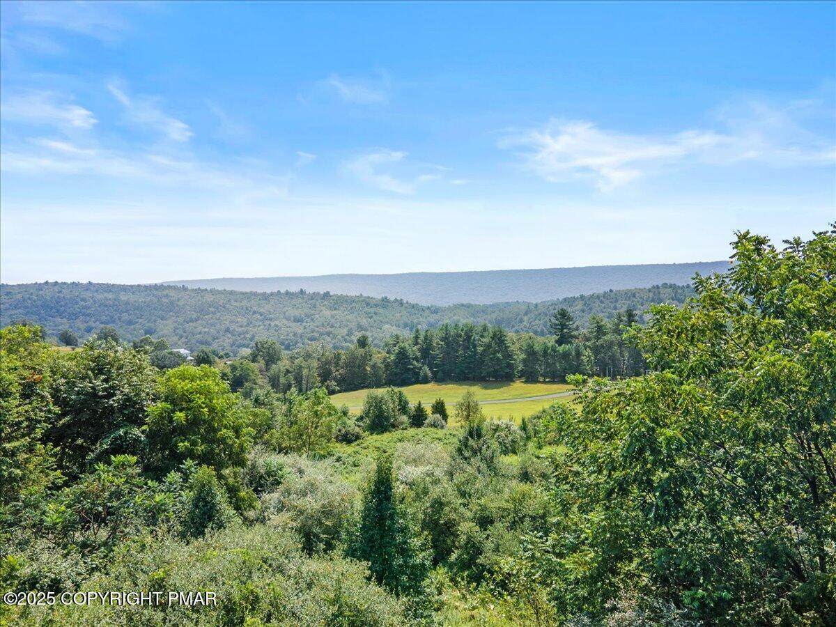 Lot 38 Wood View Road - Photo 1