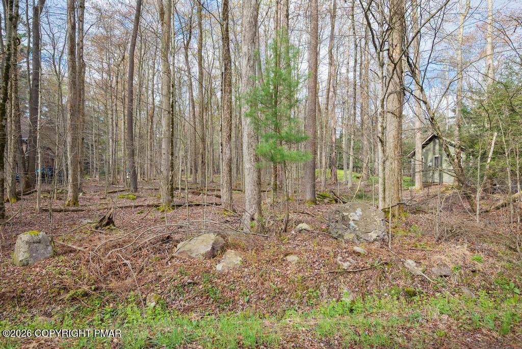 https://bt-photos.global.ssl.fastly.net/pocono/orig_boomver_2_PM-138026-2.jpg