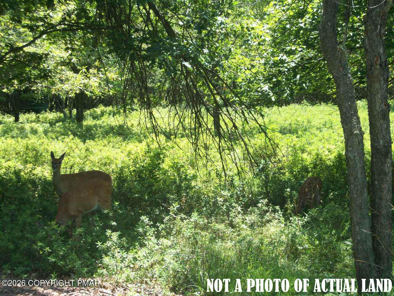 CP1082 Meckesville Road - Photo 1