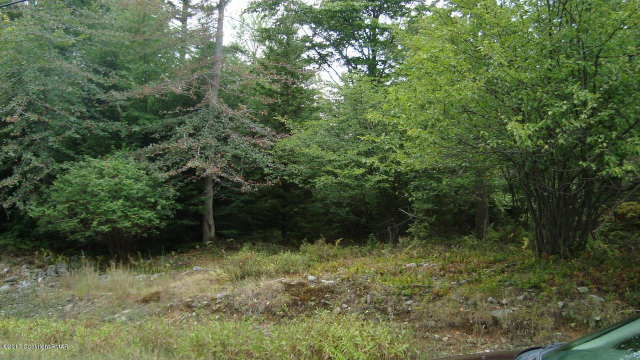 38 Minsi Trl - Photo 1 38 Minsi Trl - Photo 1