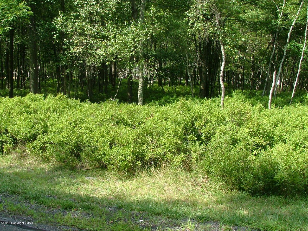#35 Forest Hill Dr - Photo 1