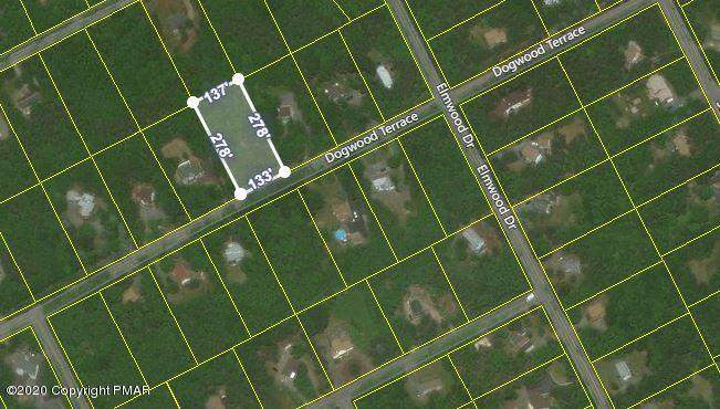 417 Dogwood Terr - Photo 1