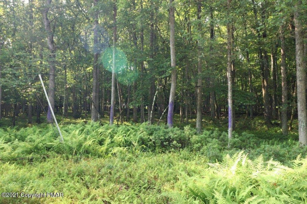 Lot 325 Towamensing Trl - Photo 1