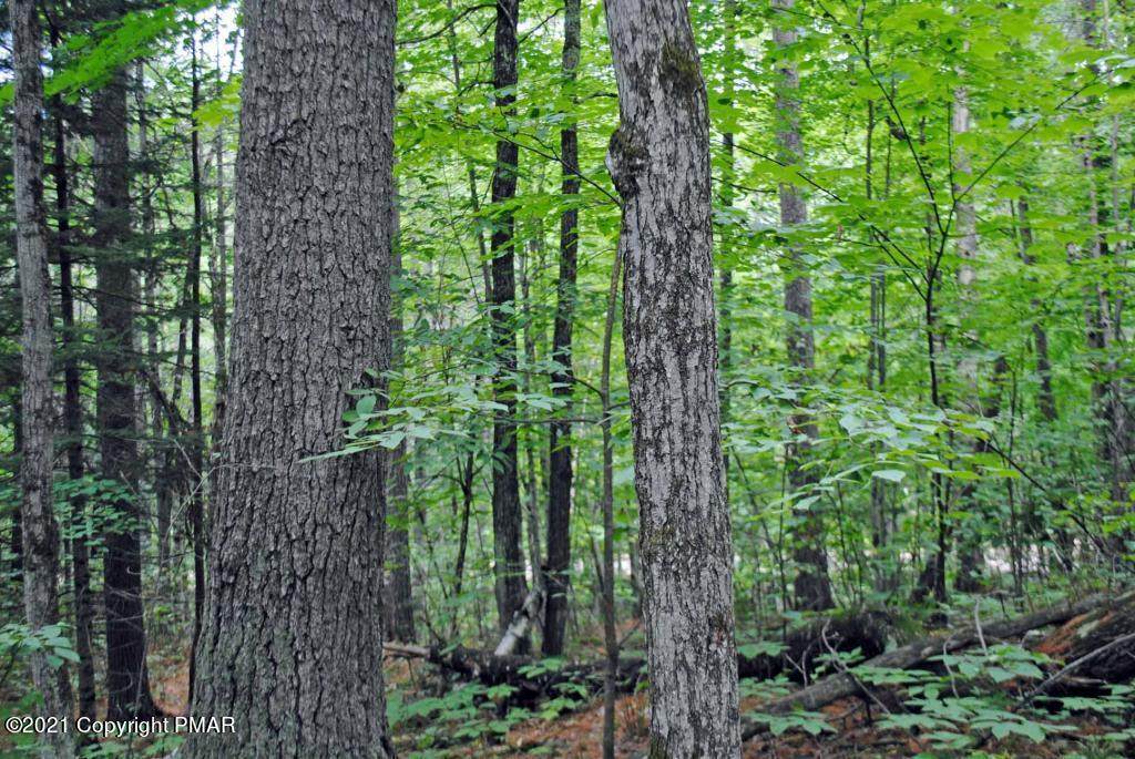 Kippack Trl - Photo 1