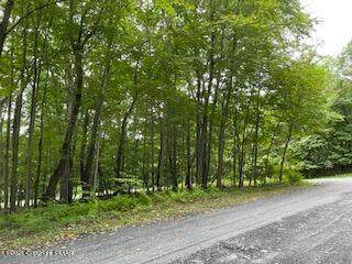 00 Dowbush Rd - Photo 1