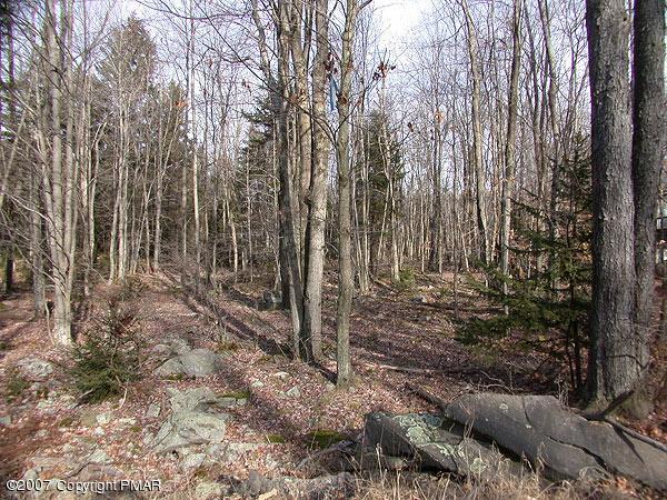 304 Ridge Road - Photo 1