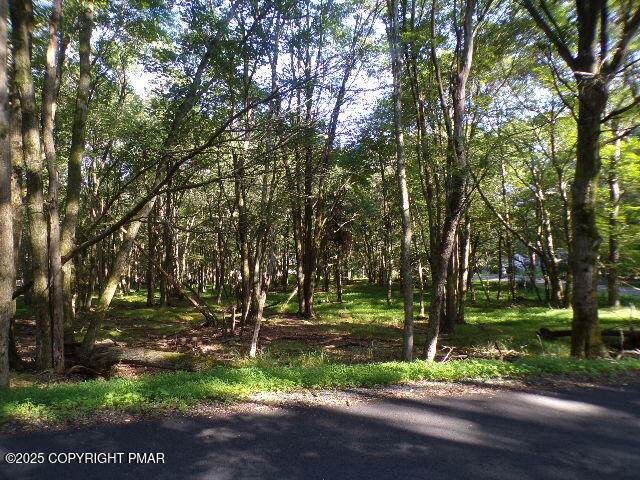 Lot 709A Wintergreen Trail - Photo 1