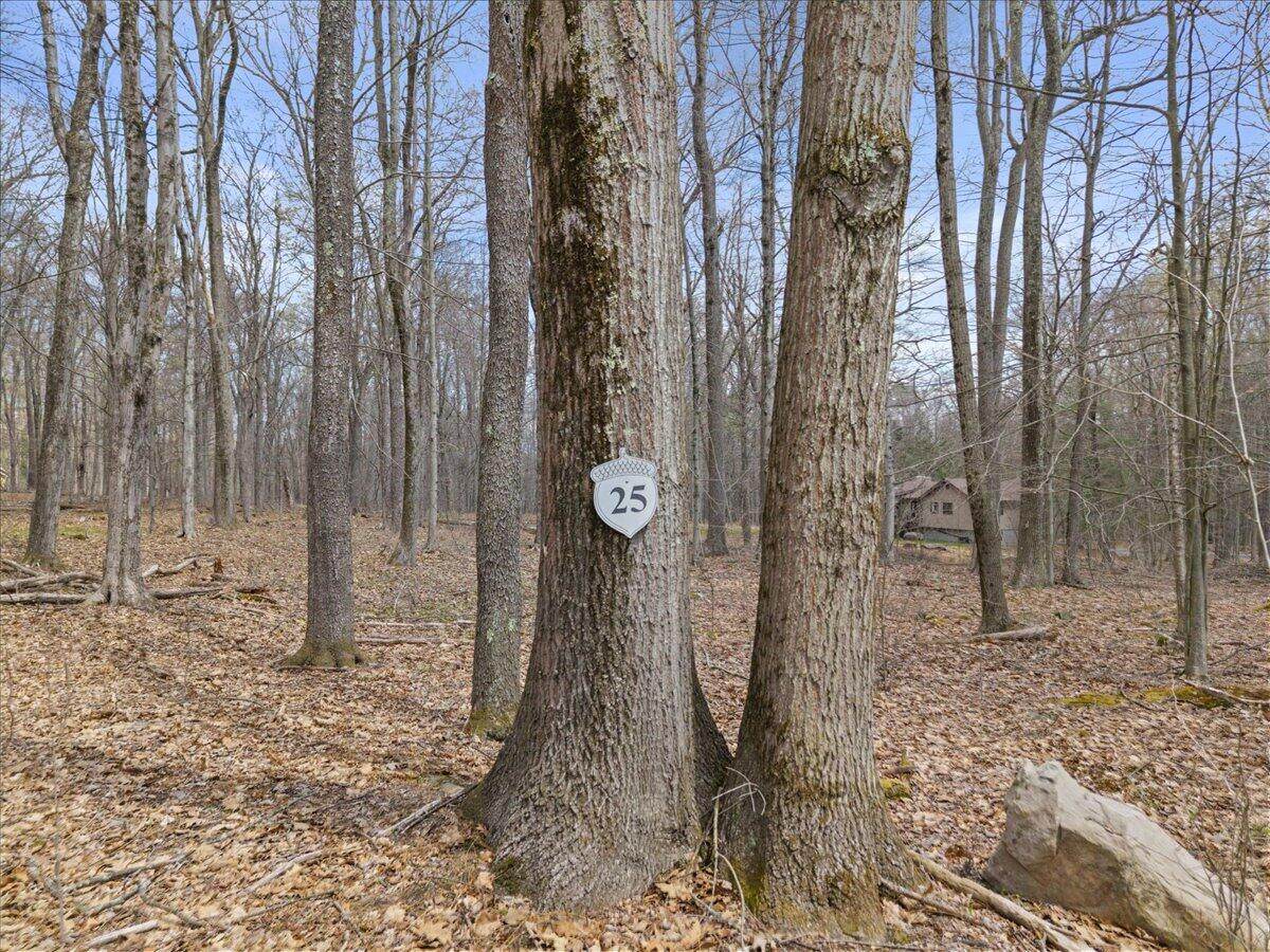  Oak Leaf Ln 25 - Photo 1