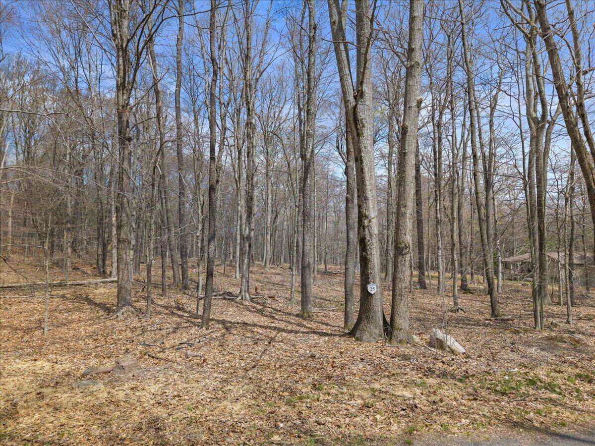 https://bt-photos.global.ssl.fastly.net/pocono/orig_boomver_3_PM-131693-2.jpg