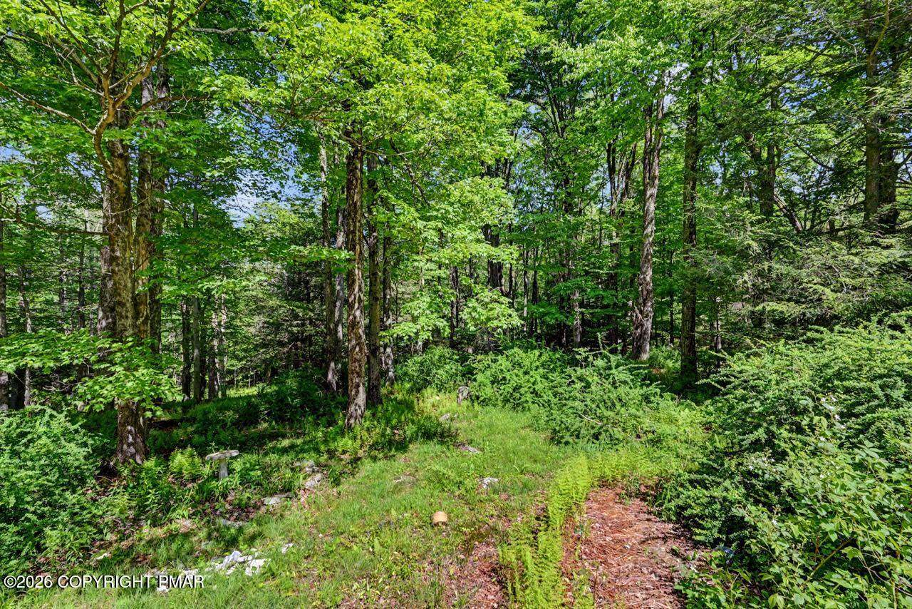 https://bt-photos.global.ssl.fastly.net/pocono/orig_boomver_3_PM-141705-2.jpg