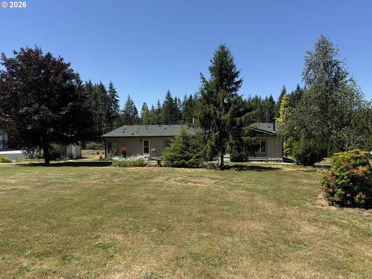 39604 Moe Ave - Photo 1