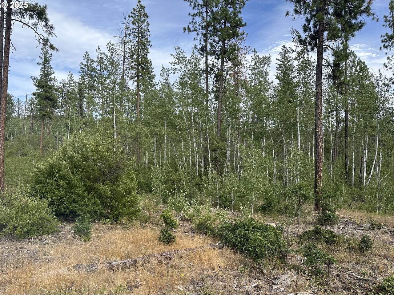 5 Greyback Mtn Rd - Photo 1