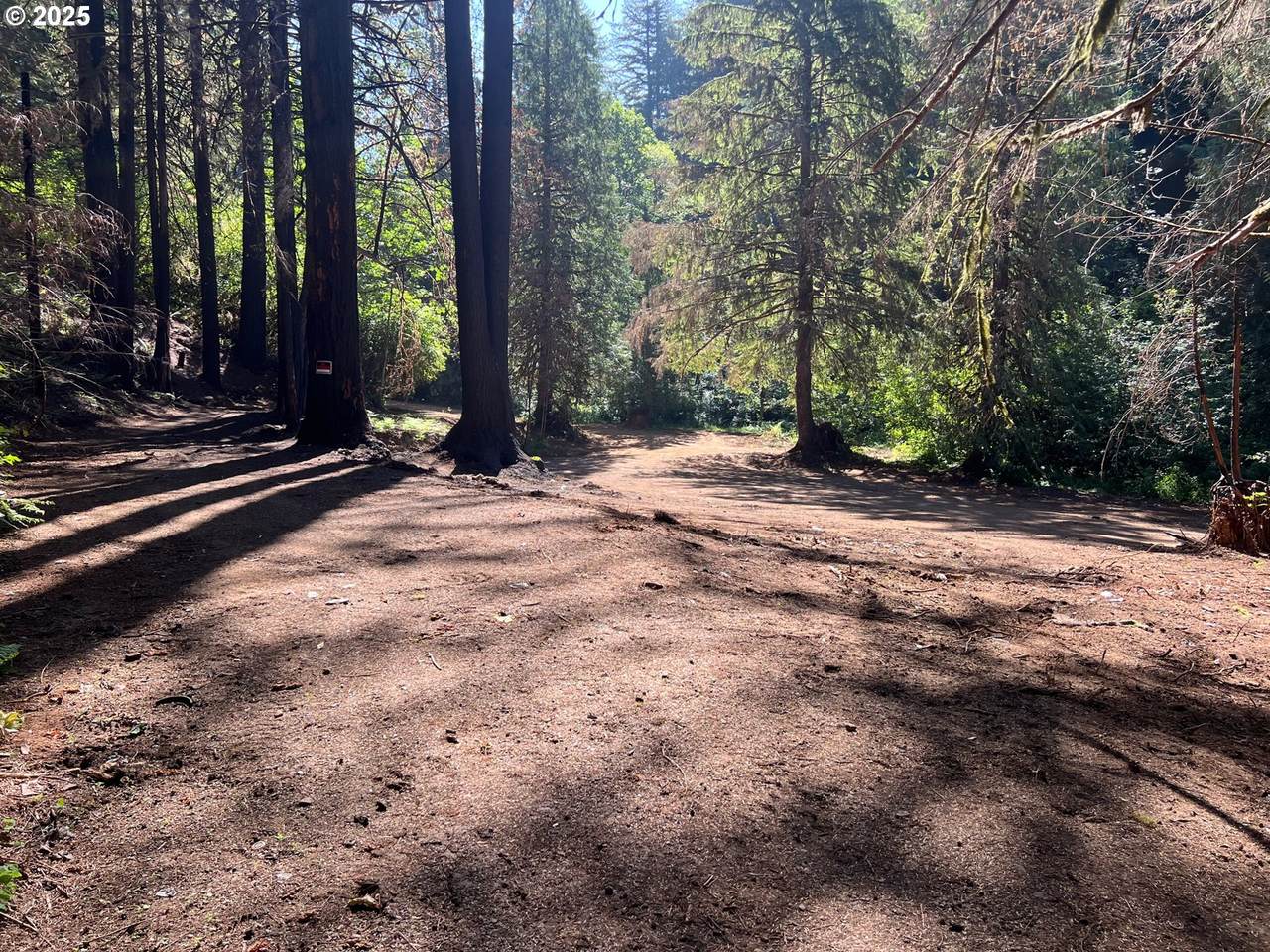 https://bt-photos.global.ssl.fastly.net/portland/1280_boomver_1_104600279-2.jpg