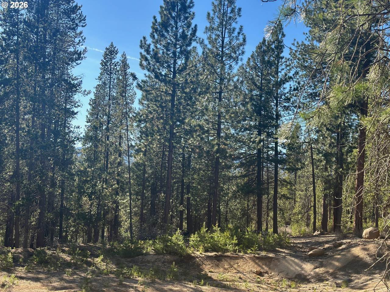  Hwy 58 - Photo 1