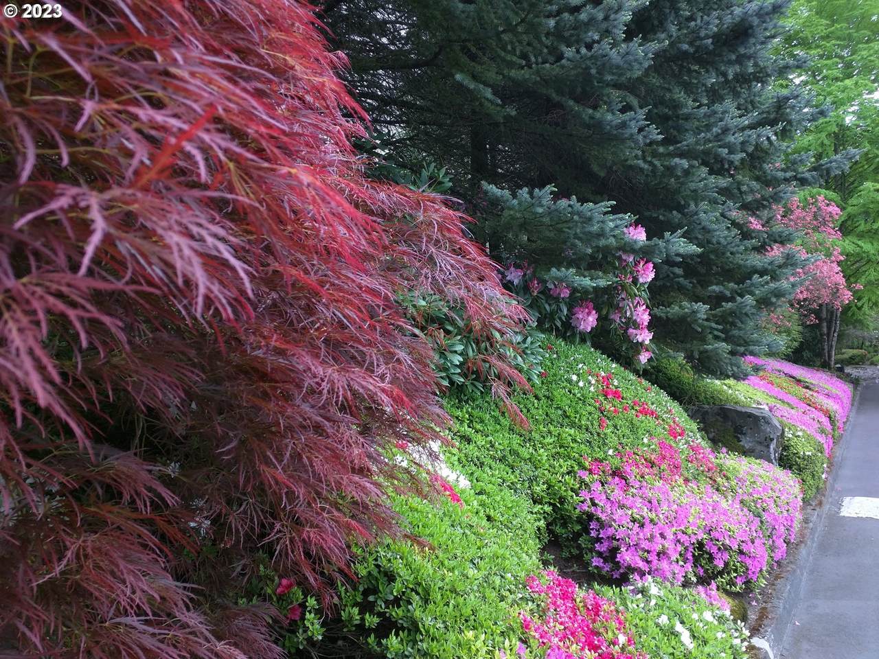 https://bt-photos.global.ssl.fastly.net/portland/1280_boomver_1_112627552-2.jpg