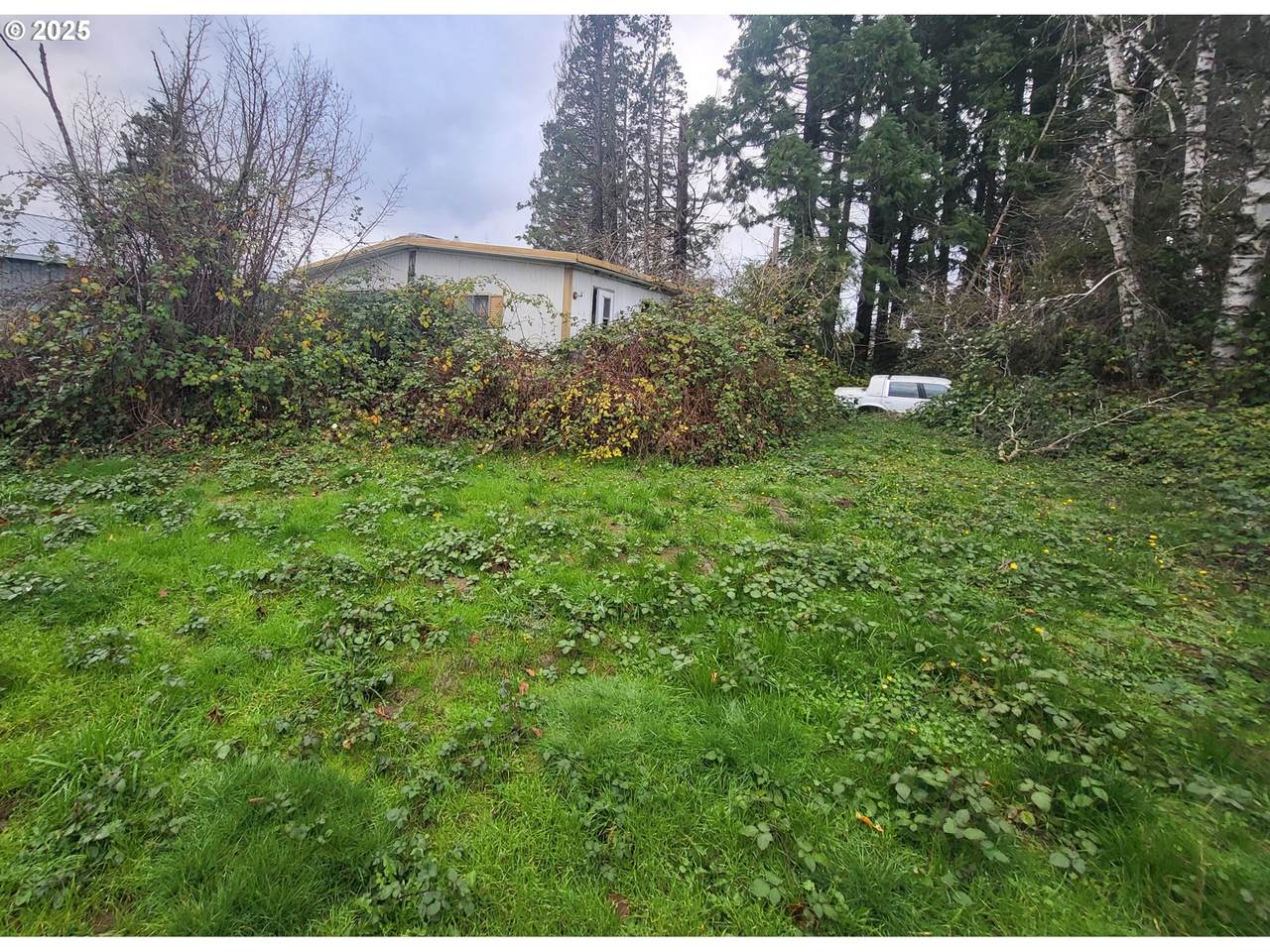 15215 Woodburn Monitor Rd - Photo 1
