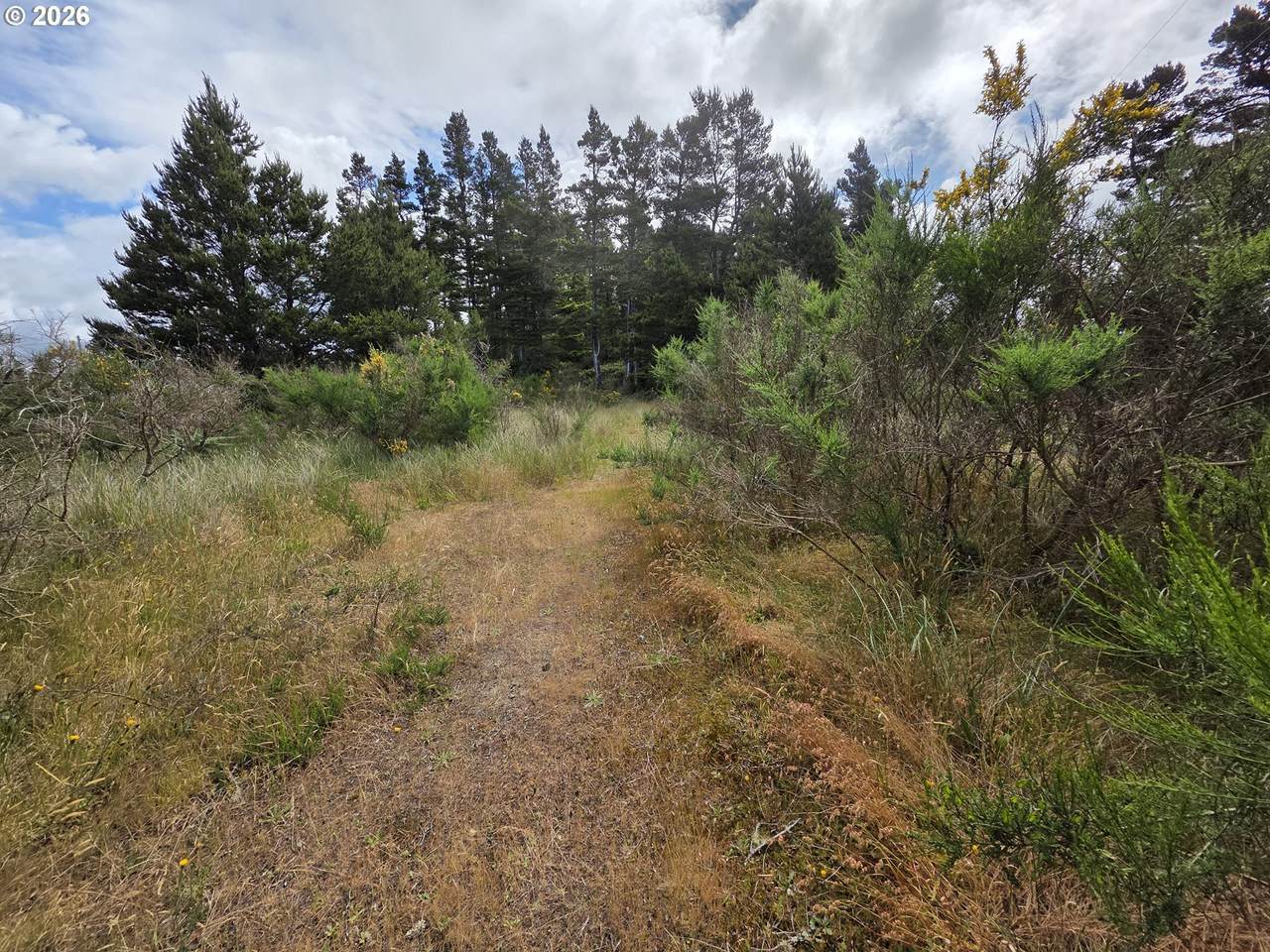  Highway 101 - Photo 1