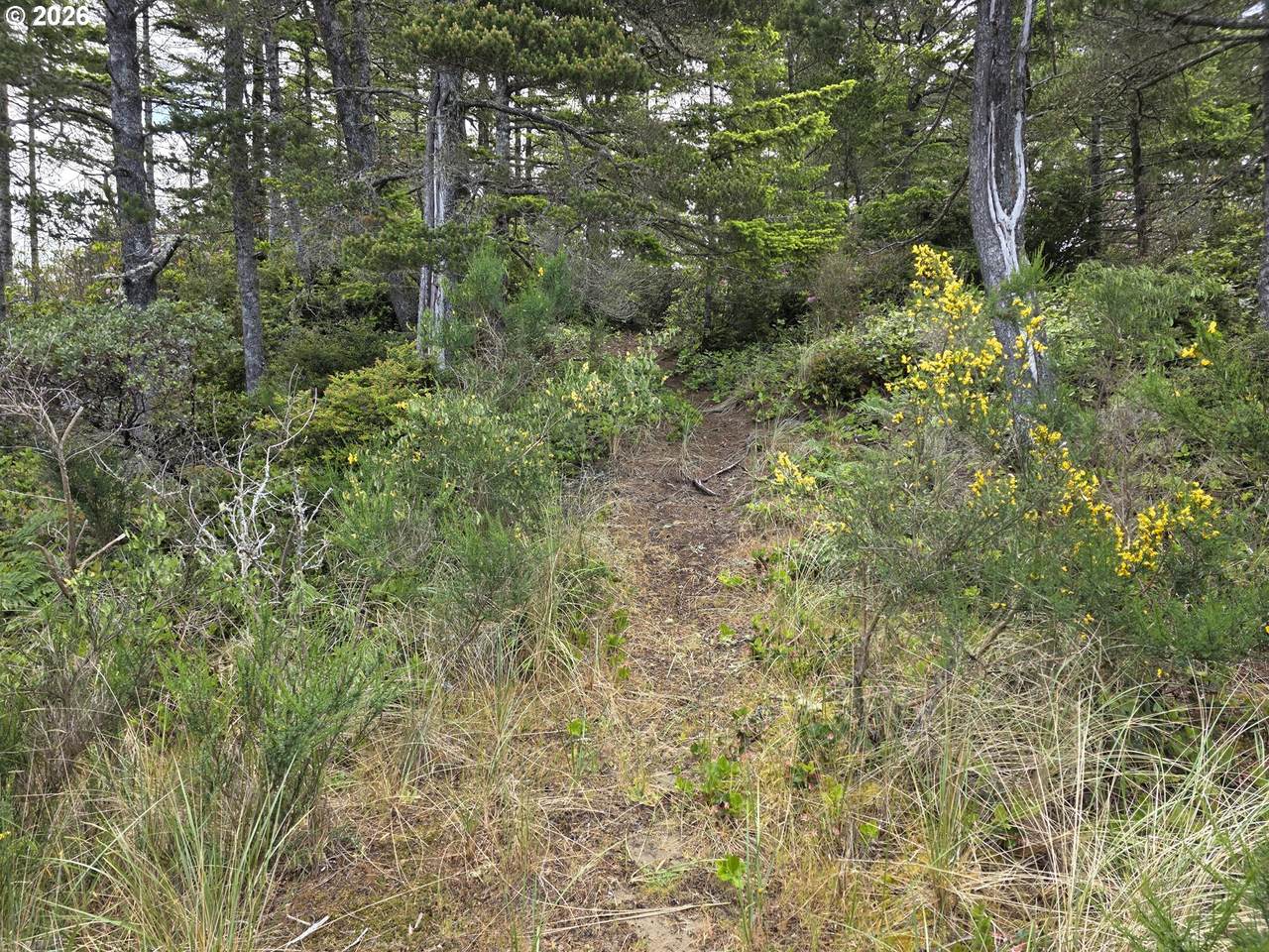 https://bt-photos.global.ssl.fastly.net/portland/1280_boomver_1_117647345-2.jpg