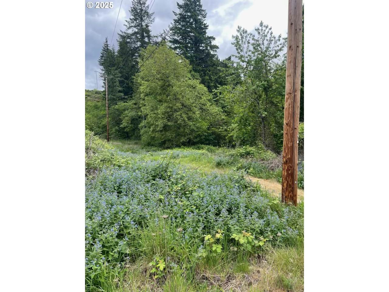 https://bt-photos.global.ssl.fastly.net/portland/1280_boomver_1_117981202-2.jpg