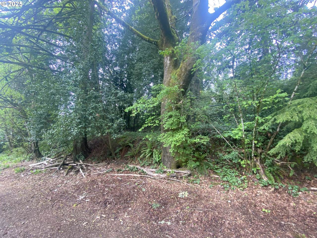 https://bt-photos.global.ssl.fastly.net/portland/1280_boomver_1_118567790-2.jpg