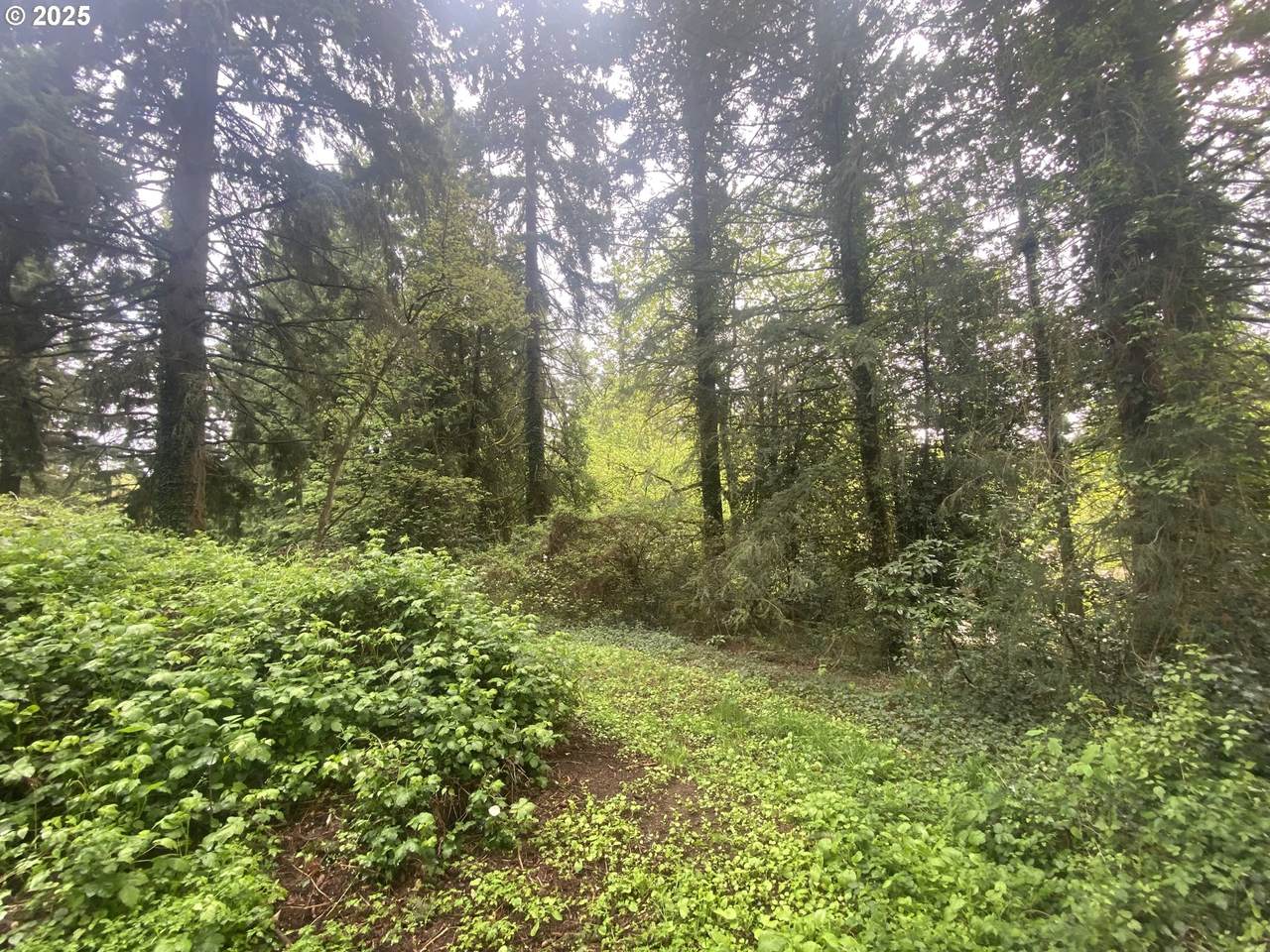 https://bt-photos.global.ssl.fastly.net/portland/1280_boomver_1_118567790-2.jpg