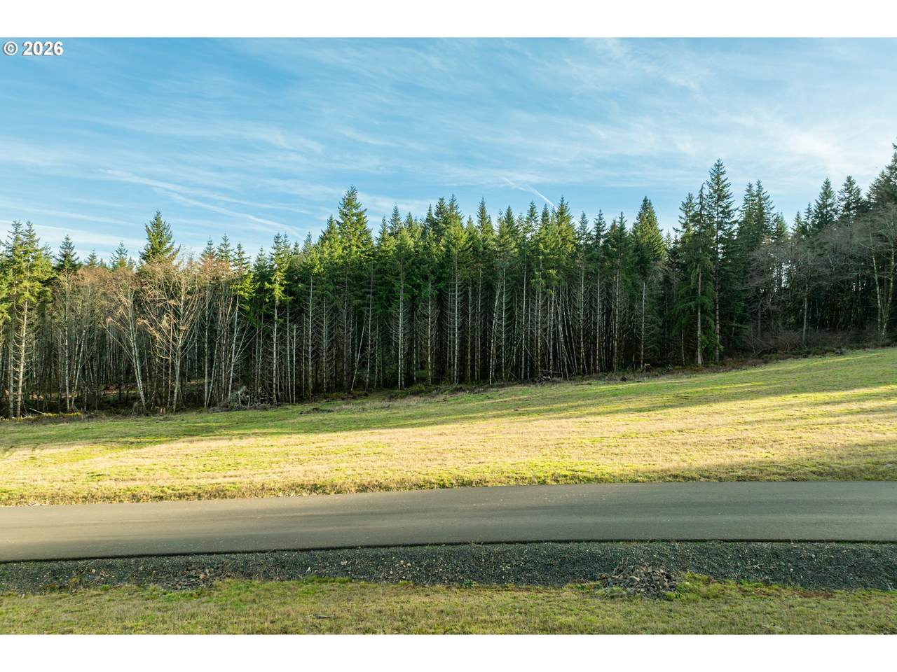 Silverwood Dr - Photo 1