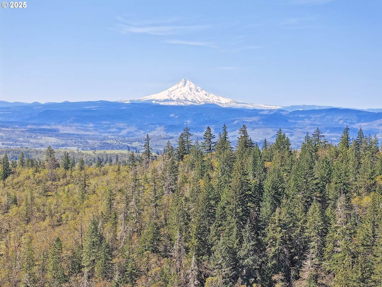33 Acres Off Canyon Rd. - Photo 1
