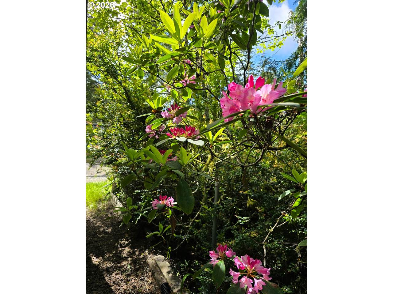 https://bt-photos.global.ssl.fastly.net/portland/1280_boomver_1_121483839-2.jpg
