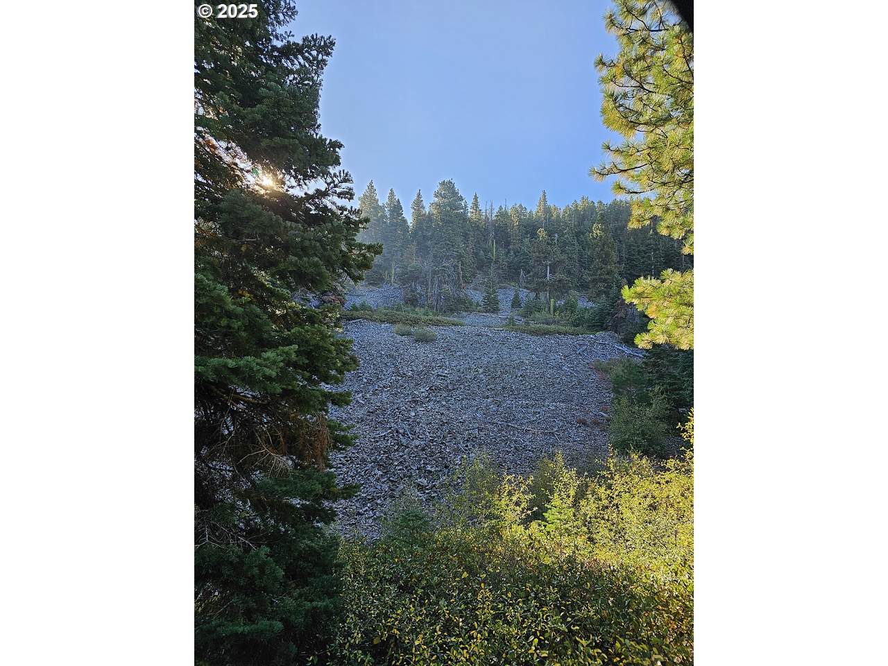 0 Undetermined - Photo 1