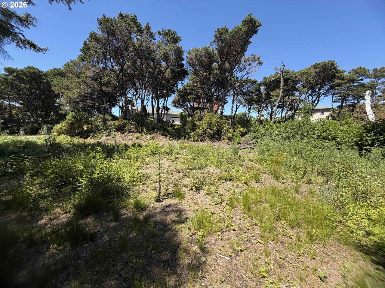  La Barre Dr. - Photo 1