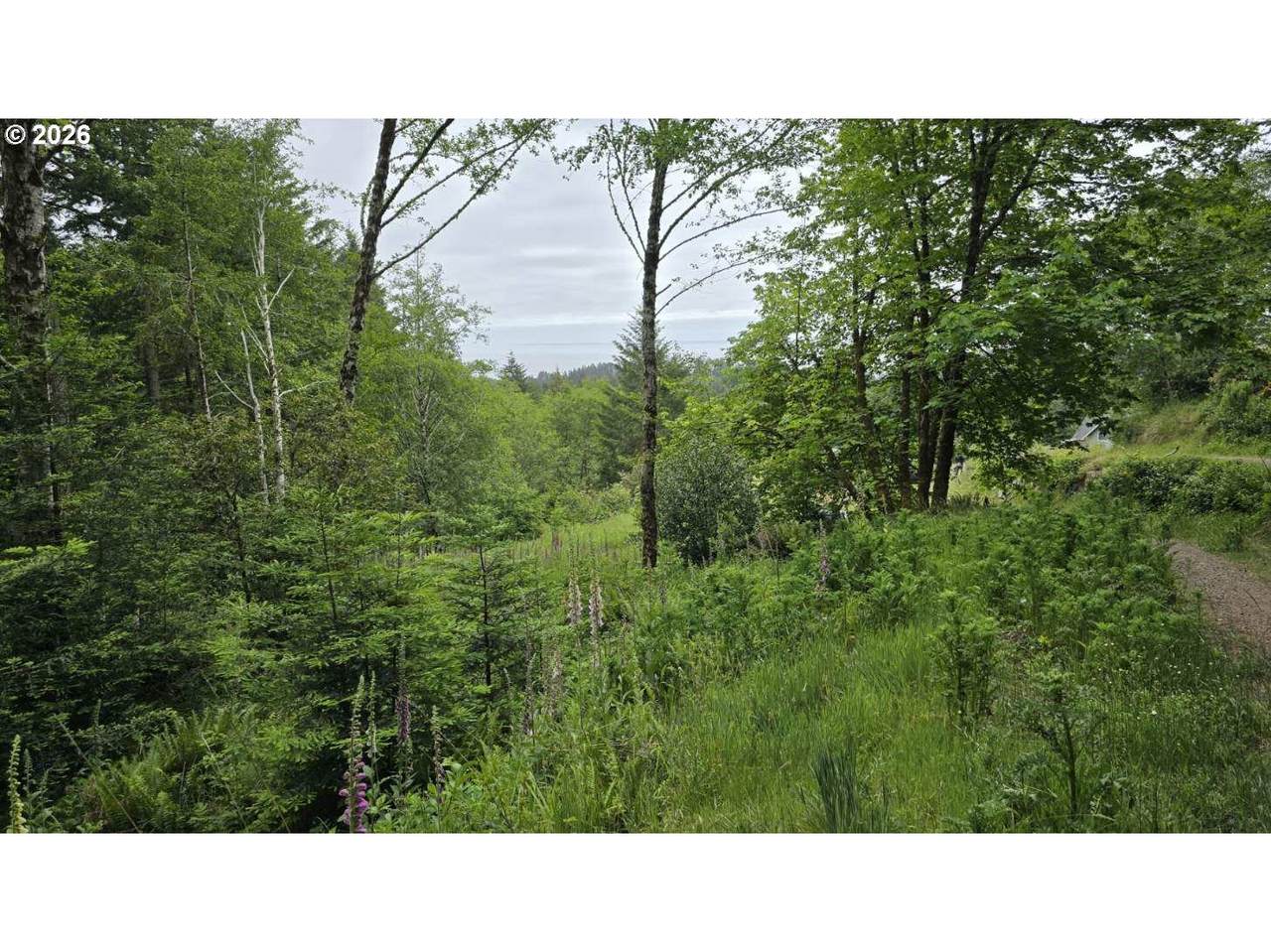 0 Whisper Ln - Photo 1