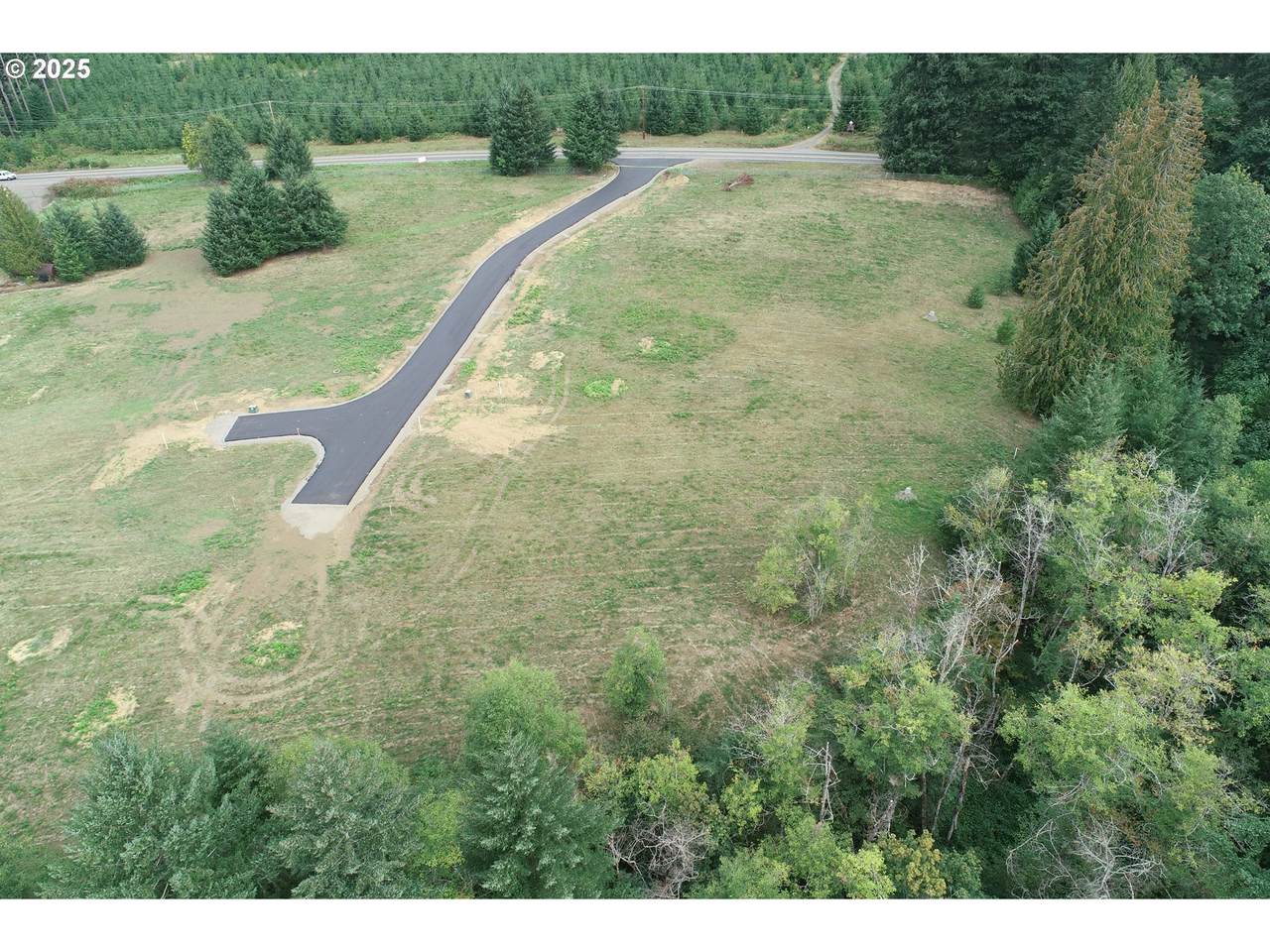 133 Norms Pl - Photo 1