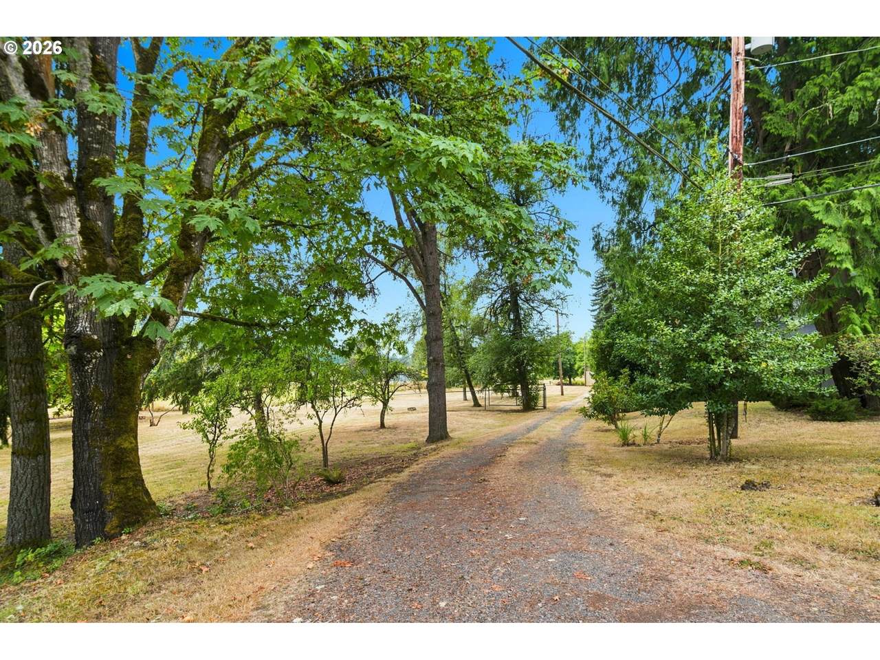 https://bt-photos.global.ssl.fastly.net/portland/1280_boomver_1_132935808-2.jpg