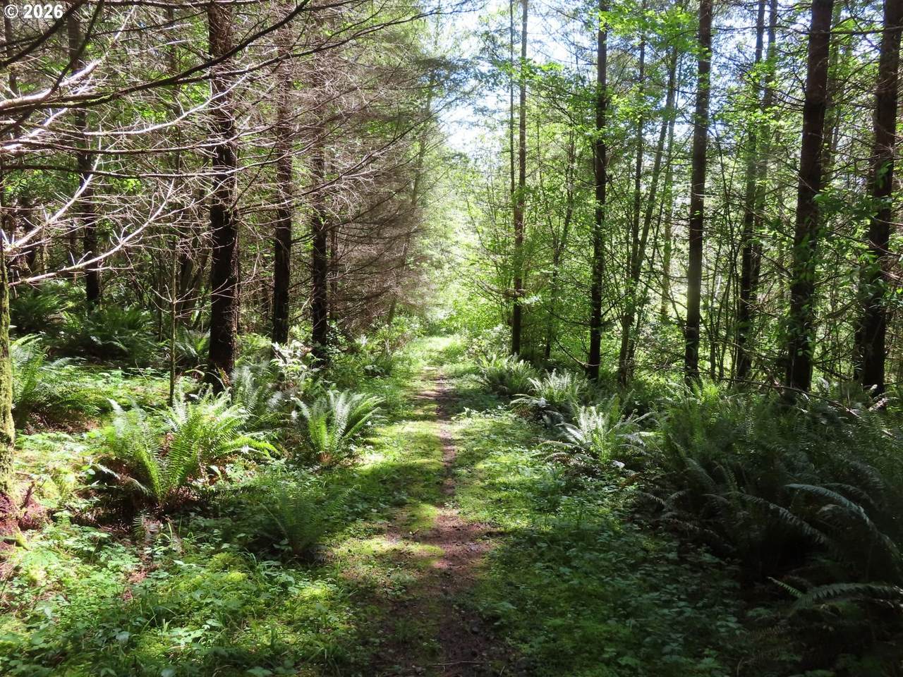 https://bt-photos.global.ssl.fastly.net/portland/1280_boomver_1_133865894-2.jpg