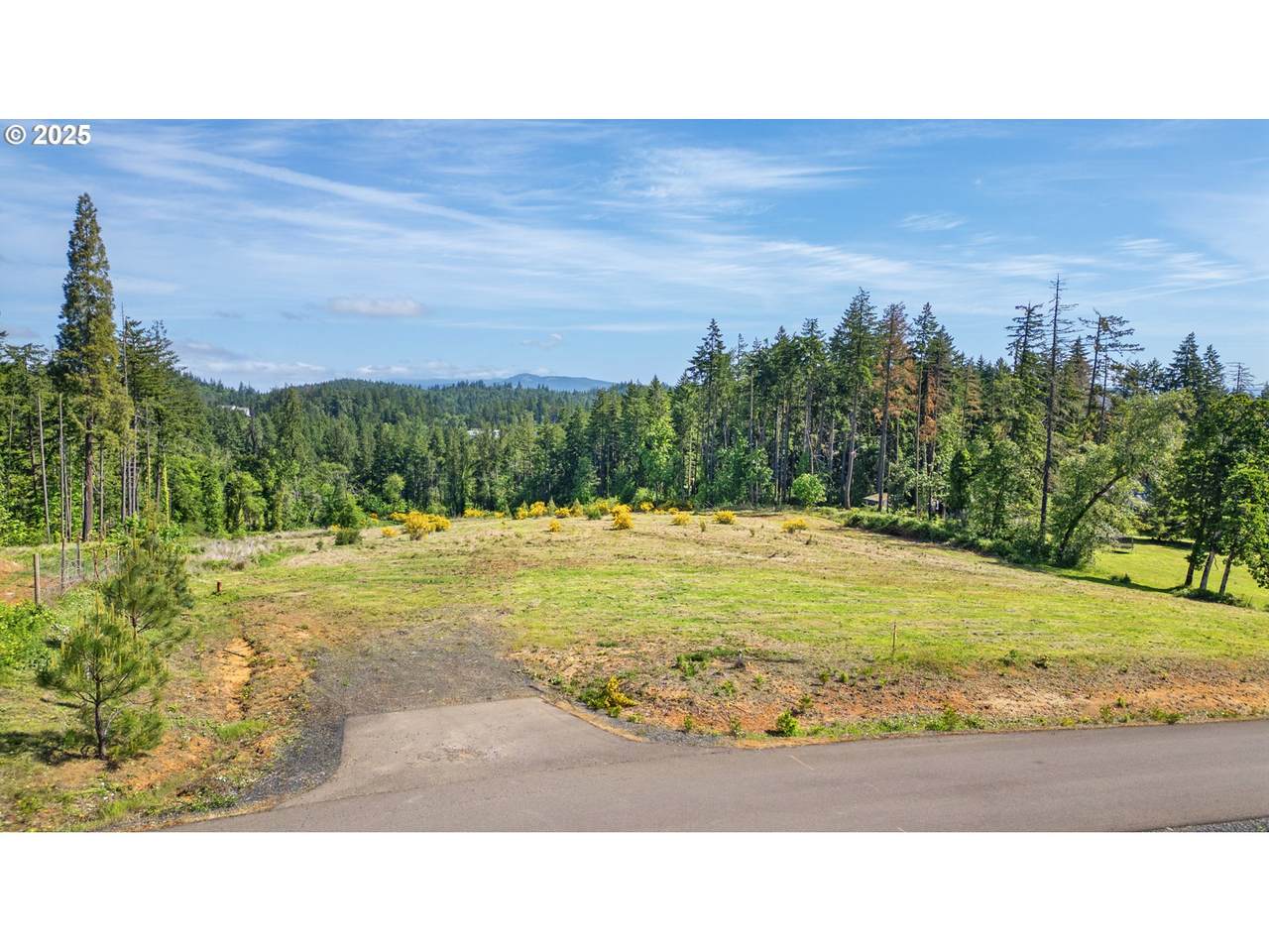  Spring Blvd Lot02500 - Photo 1