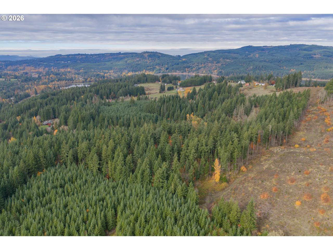 https://bt-photos.global.ssl.fastly.net/portland/1280_boomver_1_134775504-2.jpg