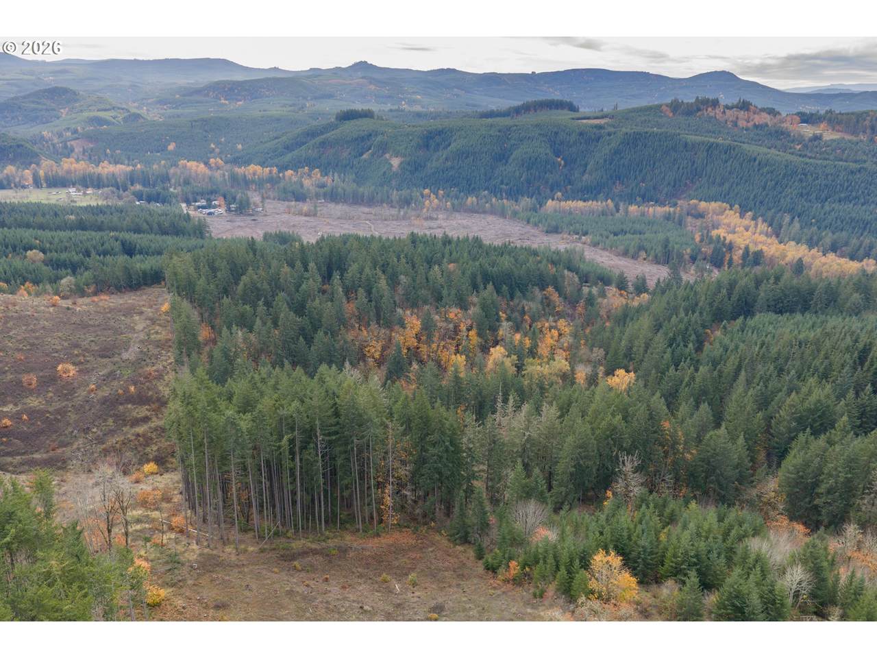 https://bt-photos.global.ssl.fastly.net/portland/1280_boomver_1_134775504-2.jpg