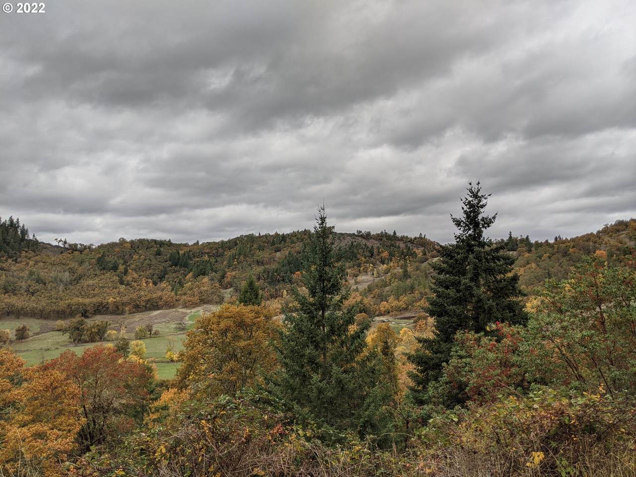 https://bt-photos.global.ssl.fastly.net/portland/1280_boomver_1_137658520-2.jpg