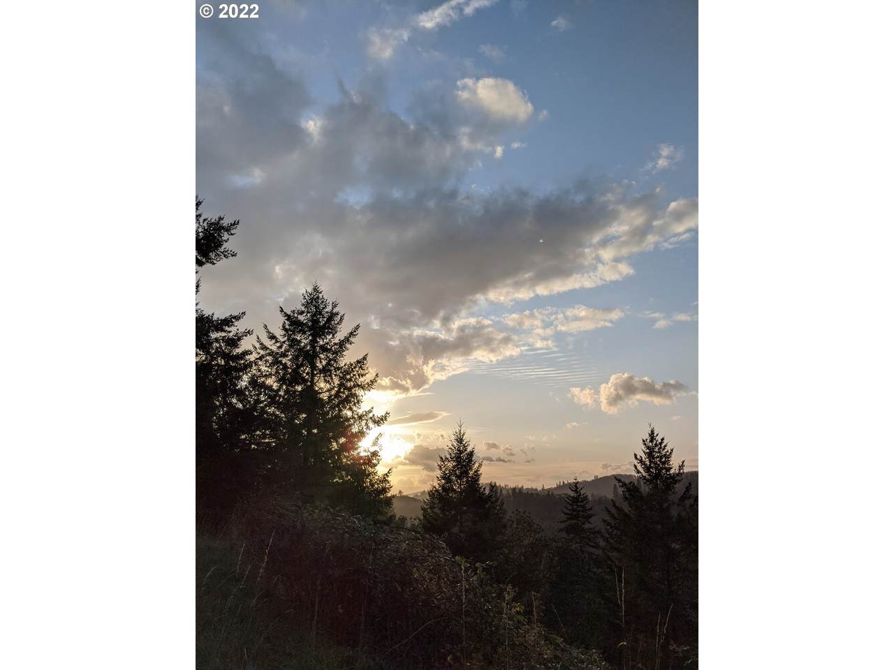 https://bt-photos.global.ssl.fastly.net/portland/1280_boomver_1_137658520-2.jpg