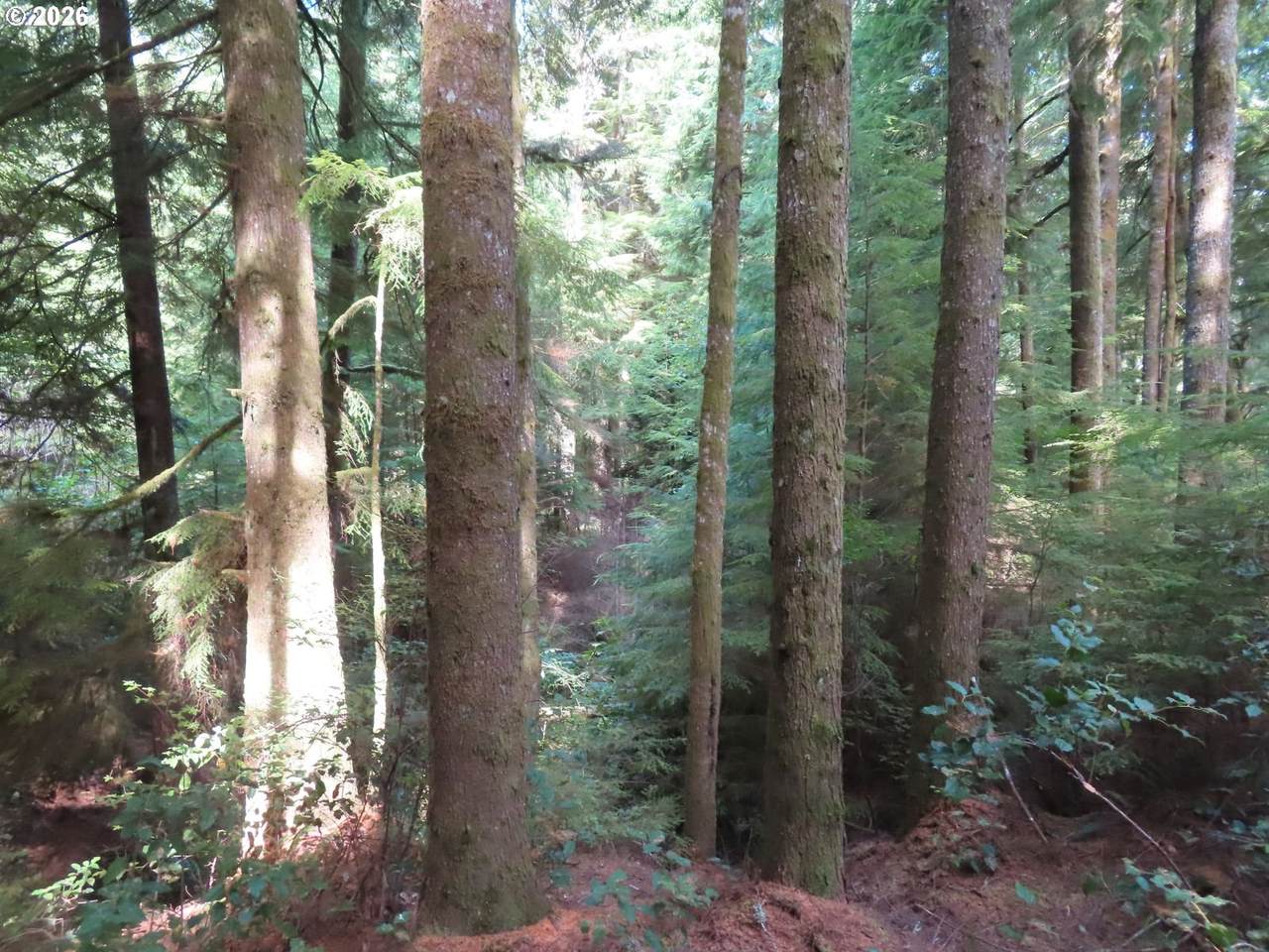  State Route 101 - Photo 1