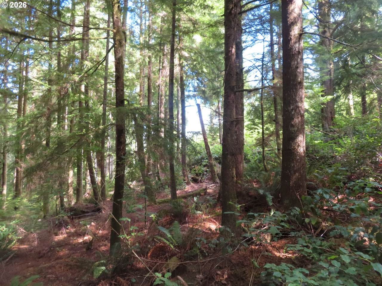 https://bt-photos.global.ssl.fastly.net/portland/1280_boomver_1_139148375-2.jpg