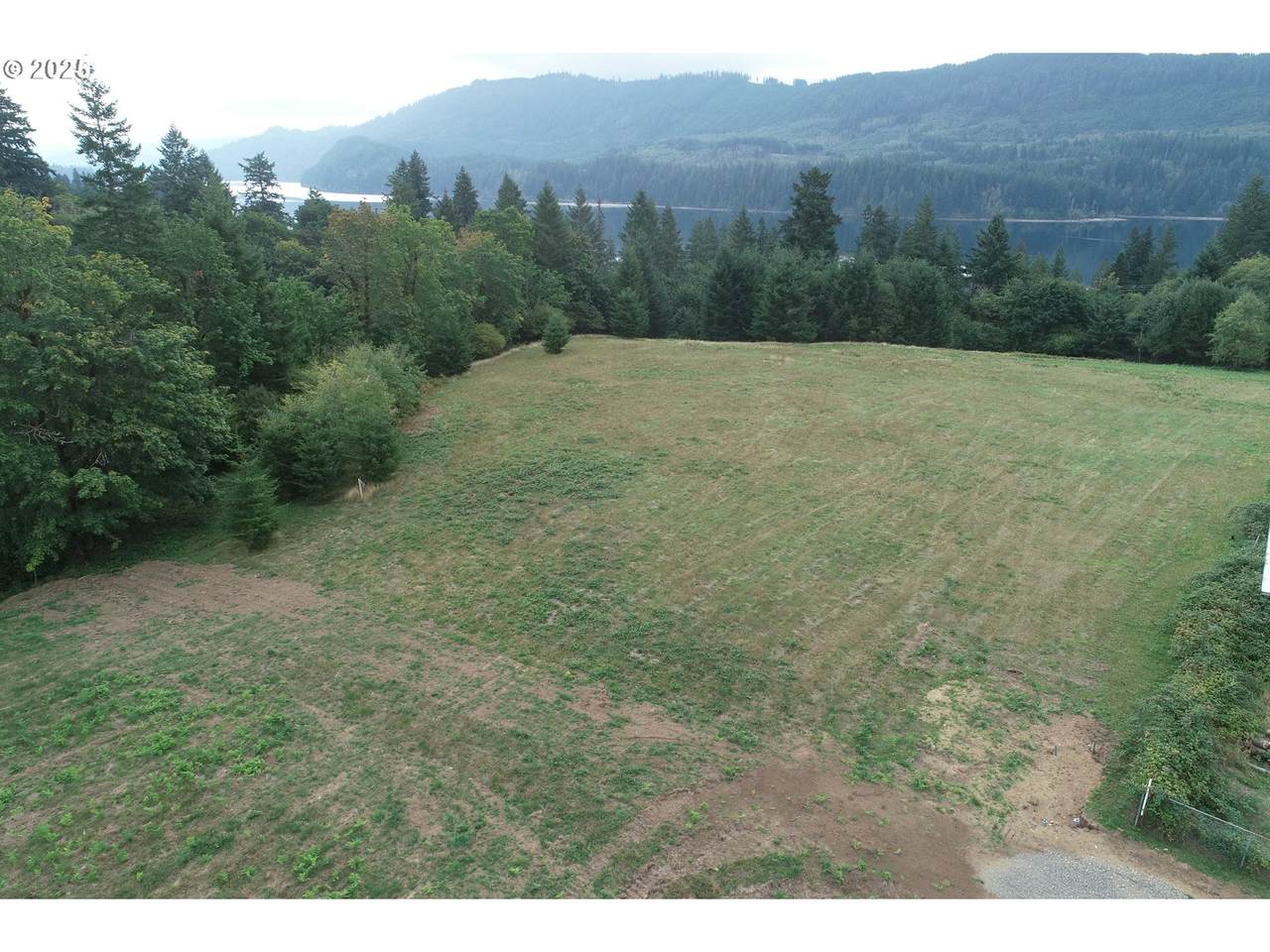 290 Wilkinson Rd - Photo 1