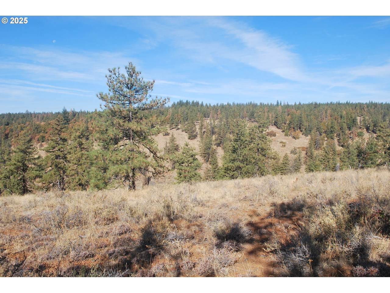 0 Hidden Meadows - Photo 1