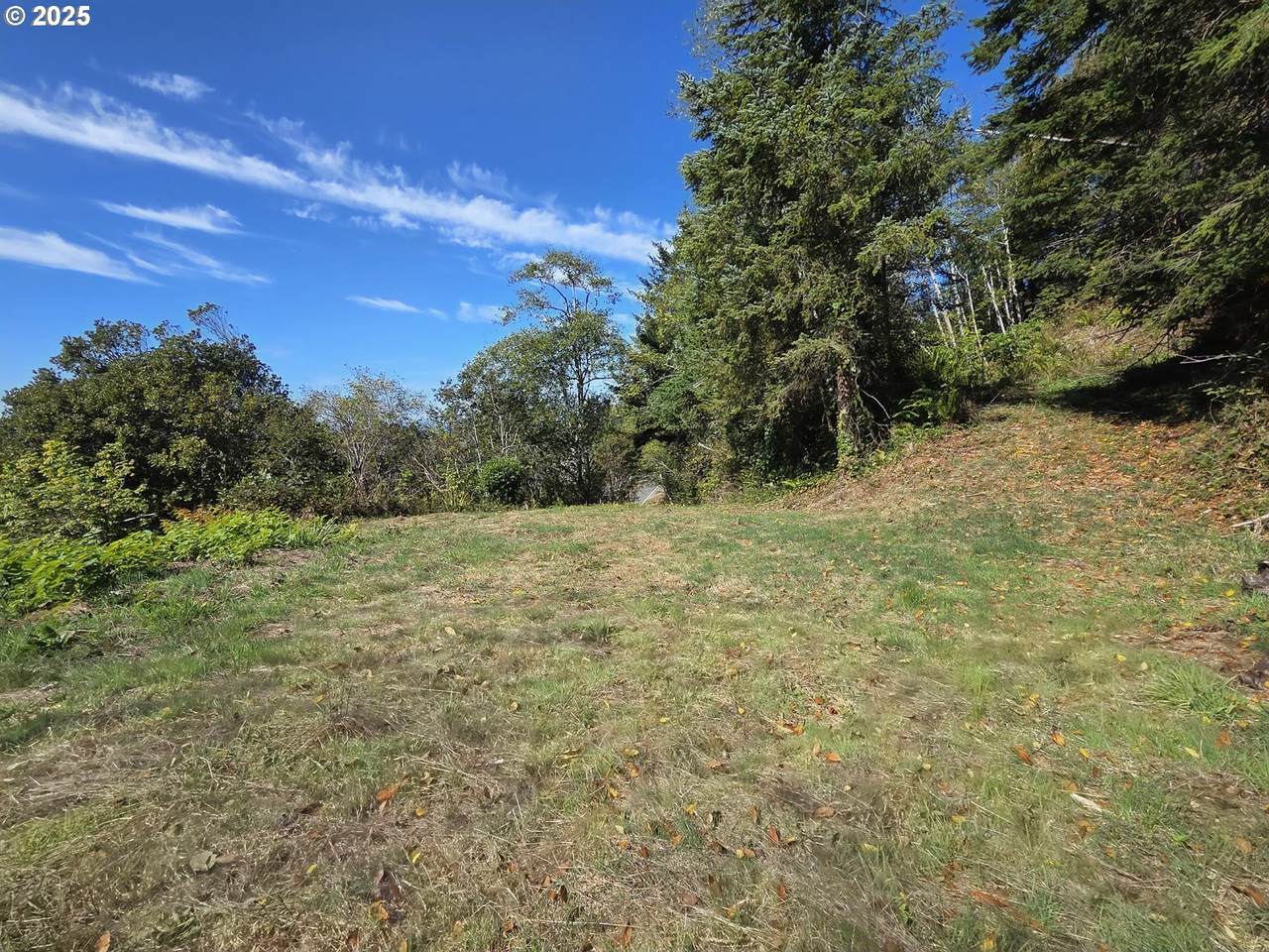  Hillside Acres Rd - Photo 1