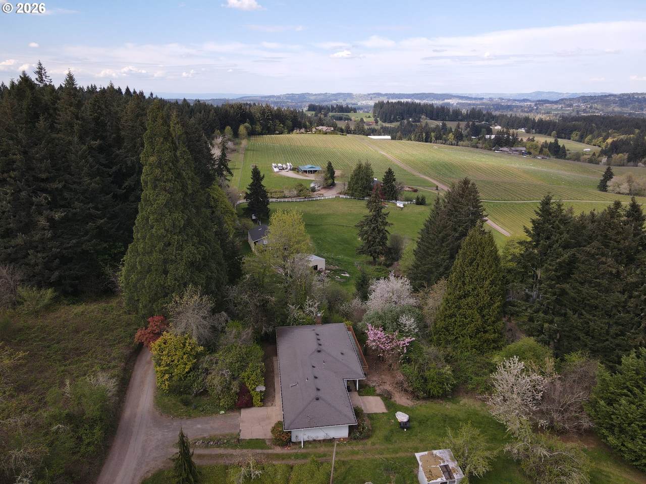 https://bt-photos.global.ssl.fastly.net/portland/1280_boomver_1_149876092-2.jpg