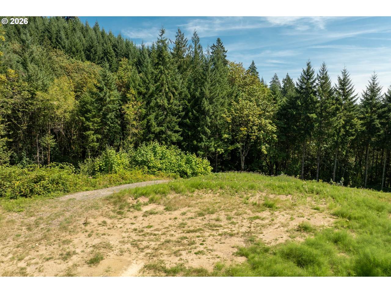 239 Junco Ln - Photo 1
