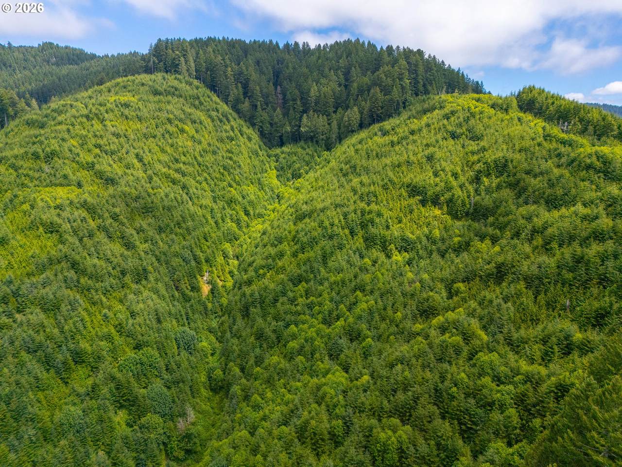 https://bt-photos.global.ssl.fastly.net/portland/1280_boomver_1_151890839-2.jpg