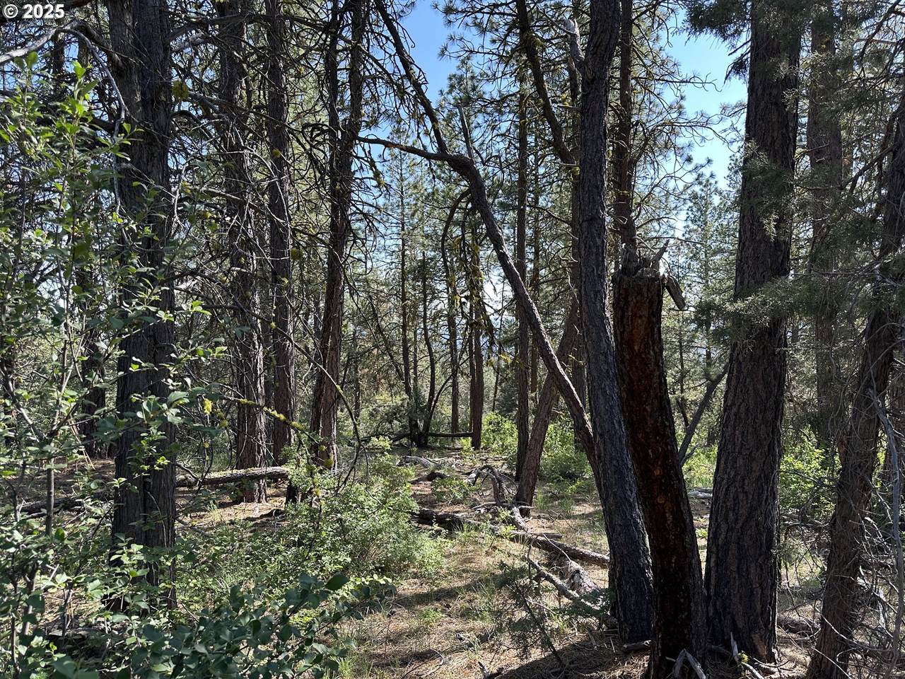 https://bt-photos.global.ssl.fastly.net/portland/1280_boomver_1_154714106-2.jpg